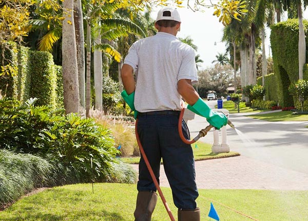 About Aultman PA Pest Control